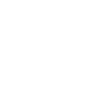 Network structured cabling and fiber optic icon